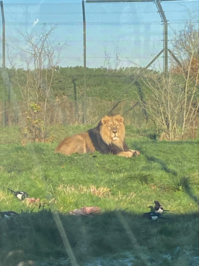 processed-57EA53A5-FCFC-4D47-94B7-5A621B566A8A