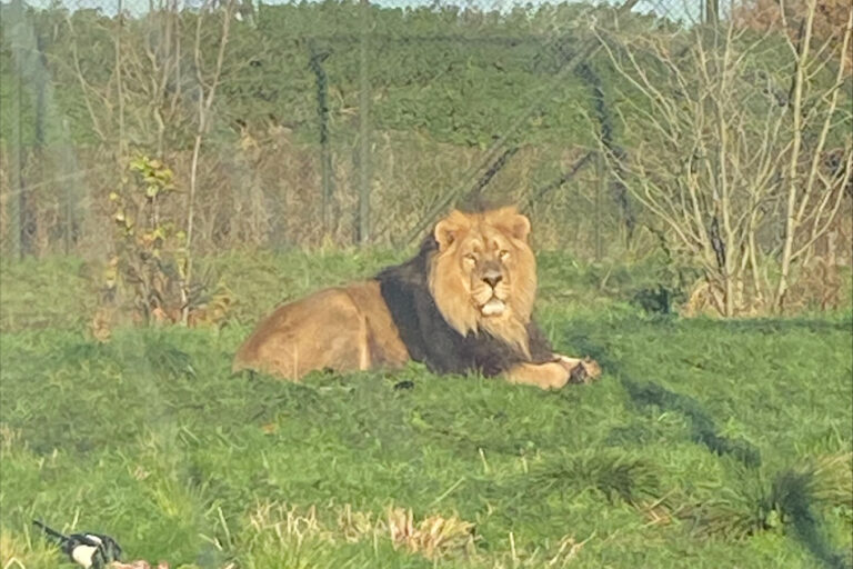 processed-57EA53A5-FCFC-4D47-94B7-5A621B566A8A